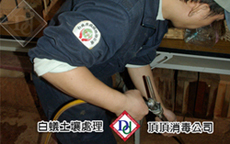 白蟻鑽孔處理