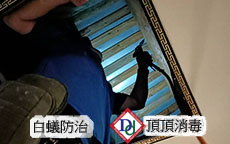 白蟻藥劑注射