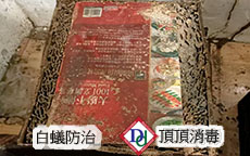 成群的白蟻