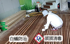 白蟻防治