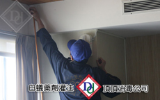 蟻巢清理後的白蟻