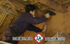 白蟻古屋處理