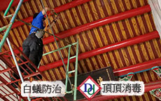 白蟻古蹟屋頂處理